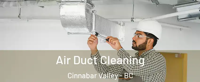  Air Duct Cleaning Cinnabar Valley - BC