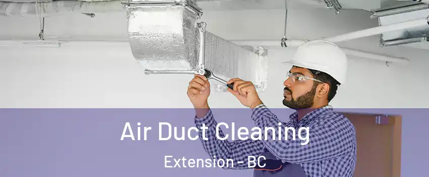  Air Duct Cleaning Extension - BC