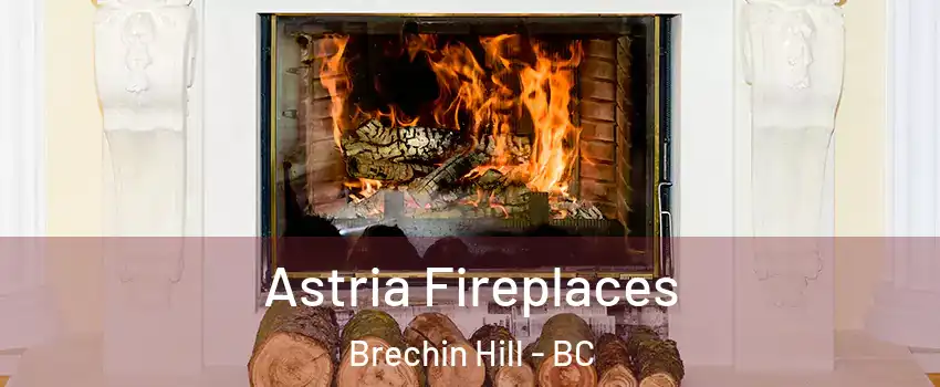  Astria Fireplaces Brechin Hill - BC