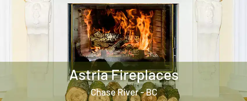  Astria Fireplaces Chase River - BC