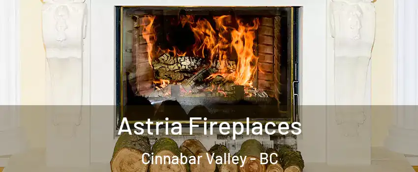  Astria Fireplaces Cinnabar Valley - BC
