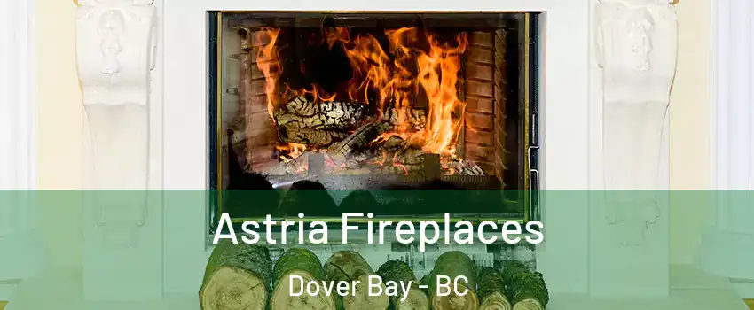  Astria Fireplaces Dover Bay - BC