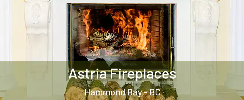  Astria Fireplaces Hammond Bay - BC