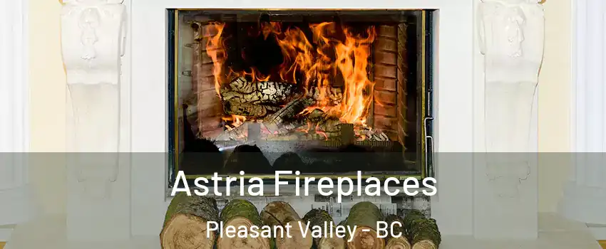  Astria Fireplaces Pleasant Valley - BC