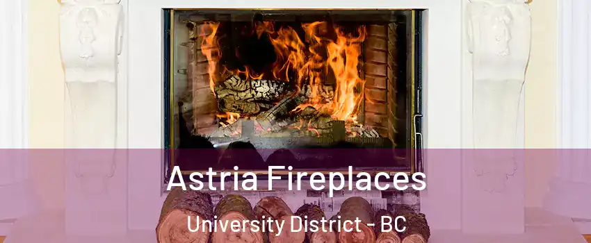  Astria Fireplaces University District - BC