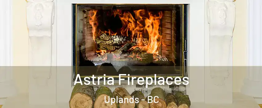  Astria Fireplaces Uplands - BC