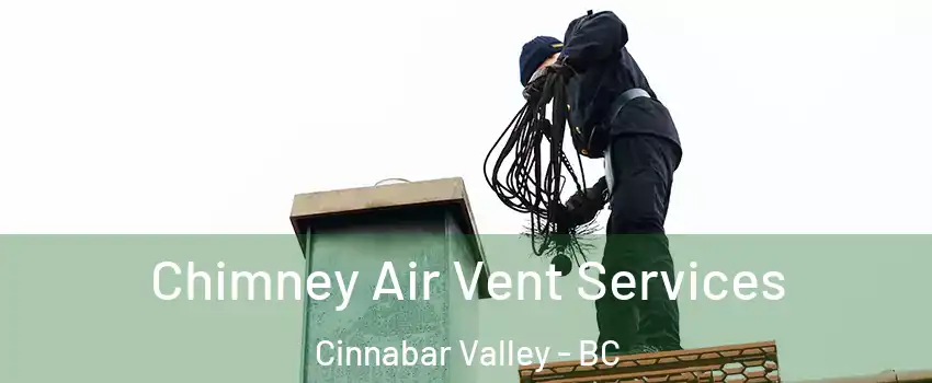  Chimney Air Vent Services Cinnabar Valley - BC
