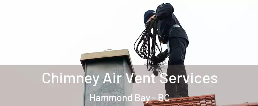  Chimney Air Vent Services Hammond Bay - BC