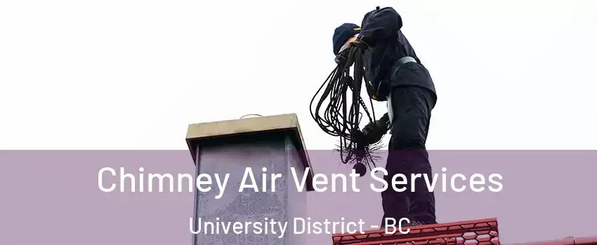  Chimney Air Vent Services University District - BC