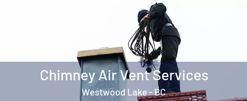  Chimney Air Vent Services Westwood Lake - BC
