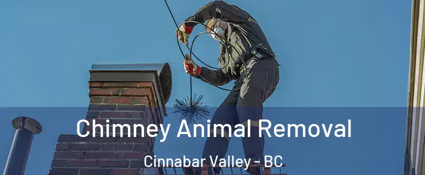 Chimney Animal Removal Cinnabar Valley - BC