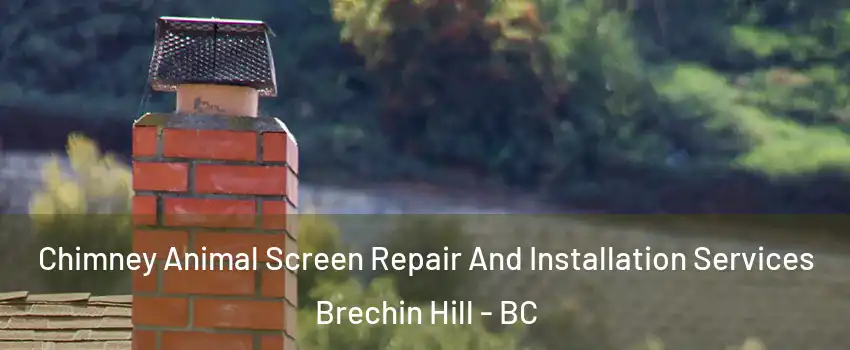 Chimney Animal Screen Repair And Installation Services Brechin Hill - BC