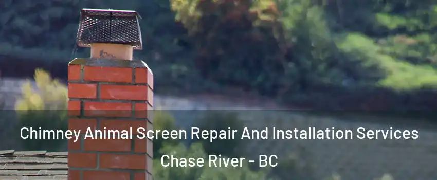  Chimney Animal Screen Repair And Installation Services Chase River - BC