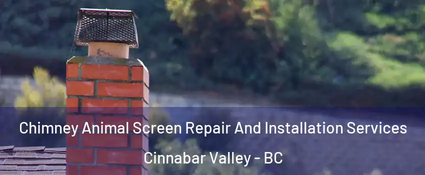  Chimney Animal Screen Repair And Installation Services Cinnabar Valley - BC