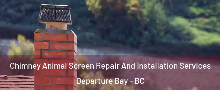  Chimney Animal Screen Repair And Installation Services Departure Bay - BC