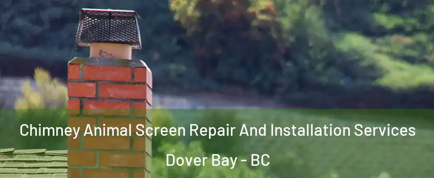  Chimney Animal Screen Repair And Installation Services Dover Bay - BC