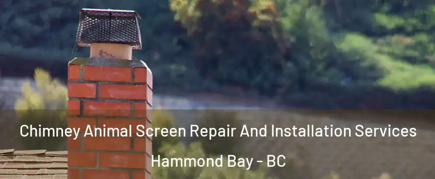  Chimney Animal Screen Repair And Installation Services Hammond Bay - BC