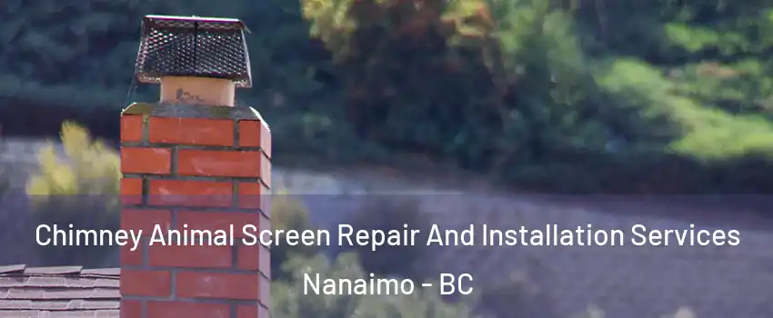  Chimney Animal Screen Repair And Installation Services Nanaimo - BC