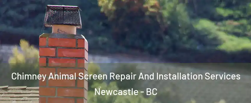  Chimney Animal Screen Repair And Installation Services Newcastle - BC