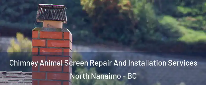  Chimney Animal Screen Repair And Installation Services North Nanaimo - BC