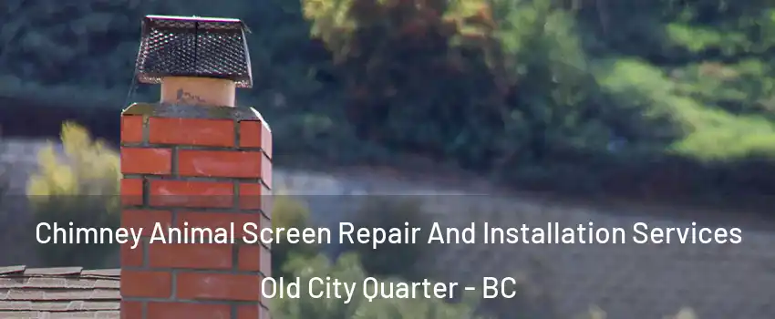  Chimney Animal Screen Repair And Installation Services Old City Quarter - BC