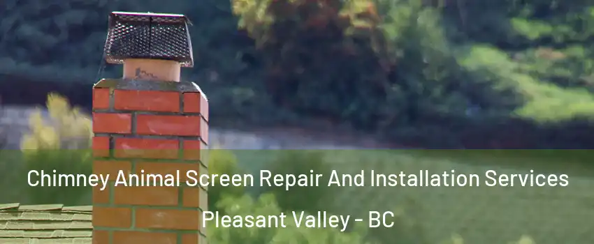  Chimney Animal Screen Repair And Installation Services Pleasant Valley - BC
