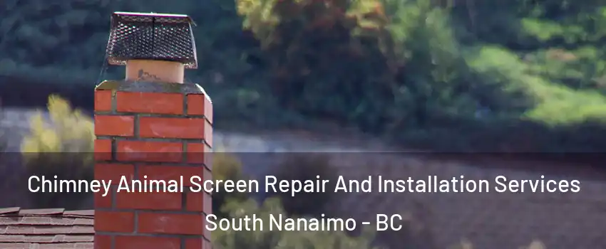  Chimney Animal Screen Repair And Installation Services South Nanaimo - BC