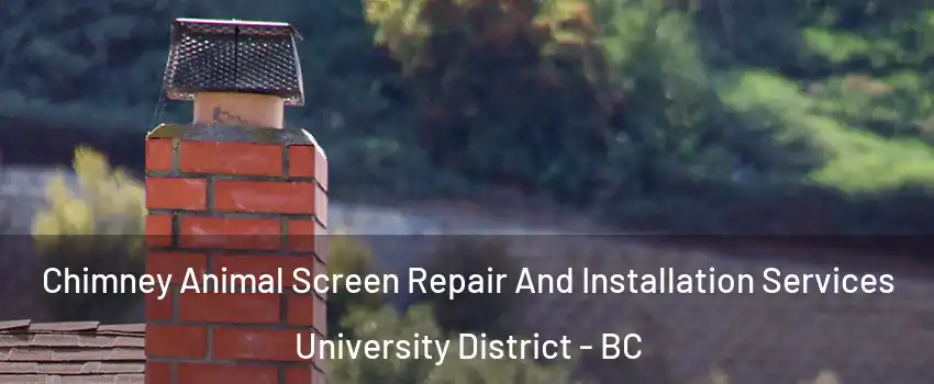  Chimney Animal Screen Repair And Installation Services University District - BC