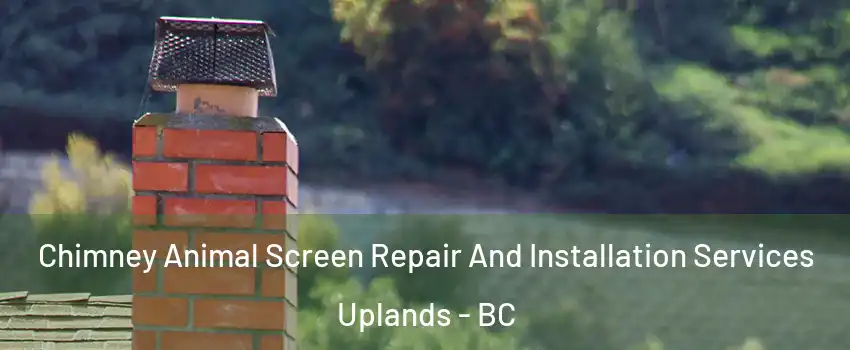  Chimney Animal Screen Repair And Installation Services Uplands - BC