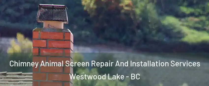  Chimney Animal Screen Repair And Installation Services Westwood Lake - BC