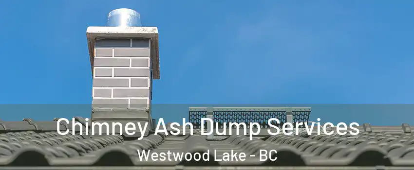 Chimney Ash Dump Services Westwood Lake - BC