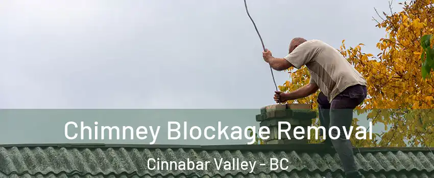  Chimney Blockage Removal Cinnabar Valley - BC