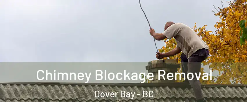  Chimney Blockage Removal Dover Bay - BC