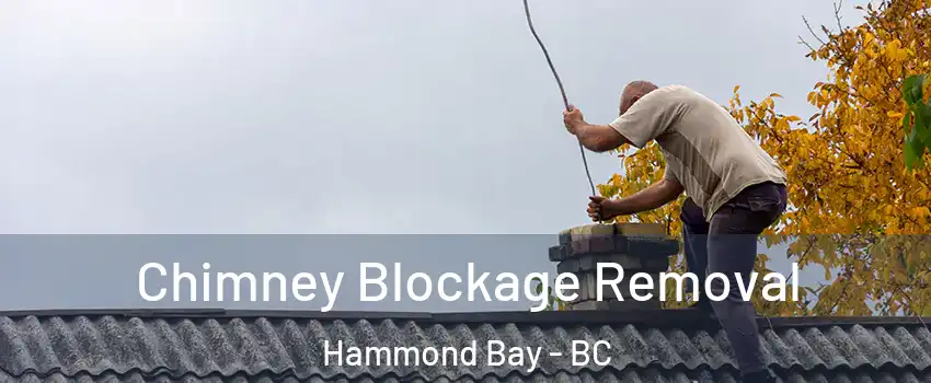  Chimney Blockage Removal Hammond Bay - BC
