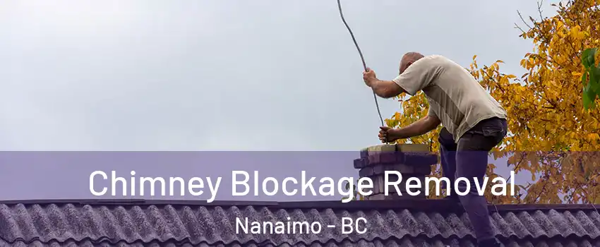  Chimney Blockage Removal Nanaimo - BC