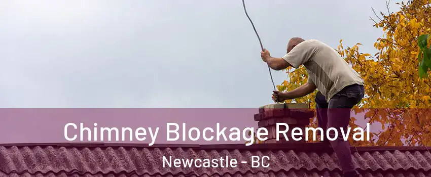  Chimney Blockage Removal Newcastle - BC