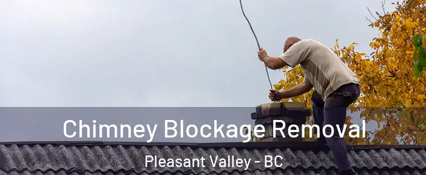  Chimney Blockage Removal Pleasant Valley - BC