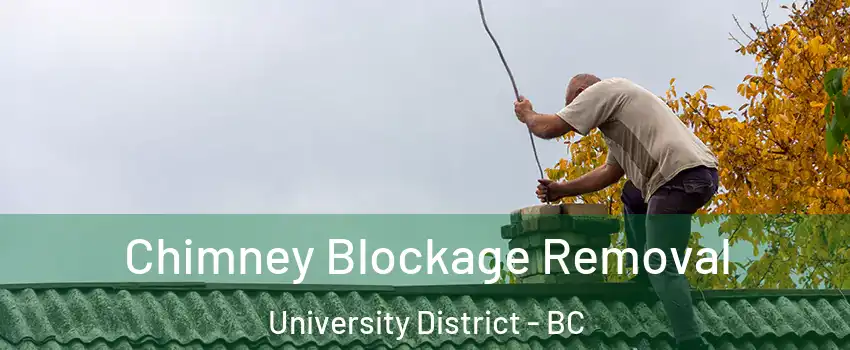  Chimney Blockage Removal University District - BC