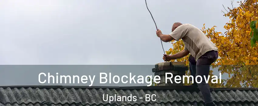  Chimney Blockage Removal Uplands - BC