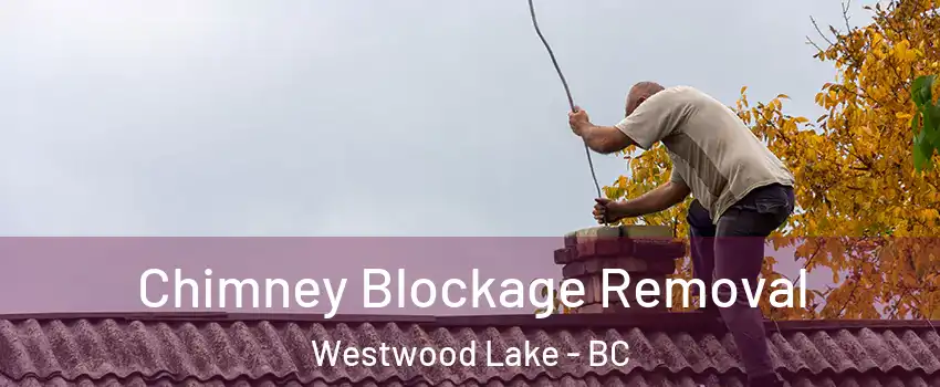  Chimney Blockage Removal Westwood Lake - BC