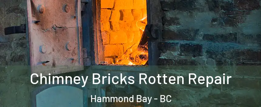  Chimney Bricks Rotten Repair Hammond Bay - BC