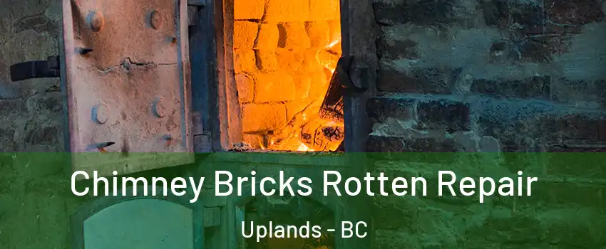  Chimney Bricks Rotten Repair Uplands - BC