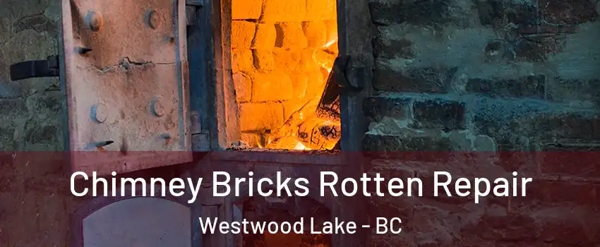  Chimney Bricks Rotten Repair Westwood Lake - BC