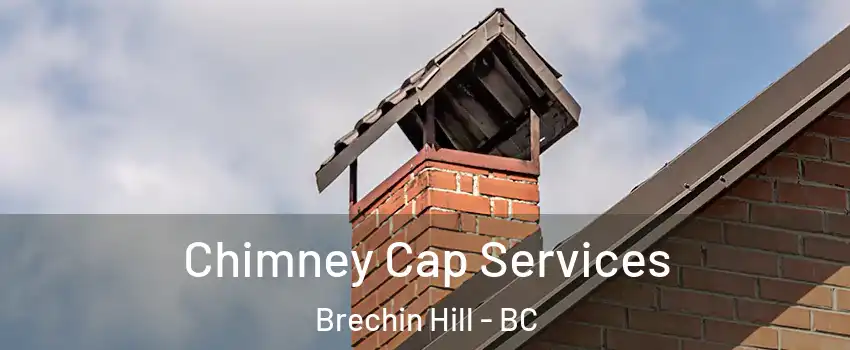  Chimney Cap Services Brechin Hill - BC