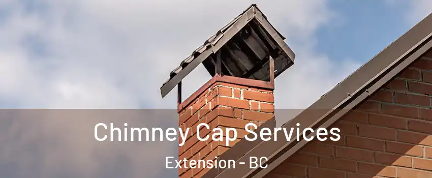  Chimney Cap Services Extension - BC