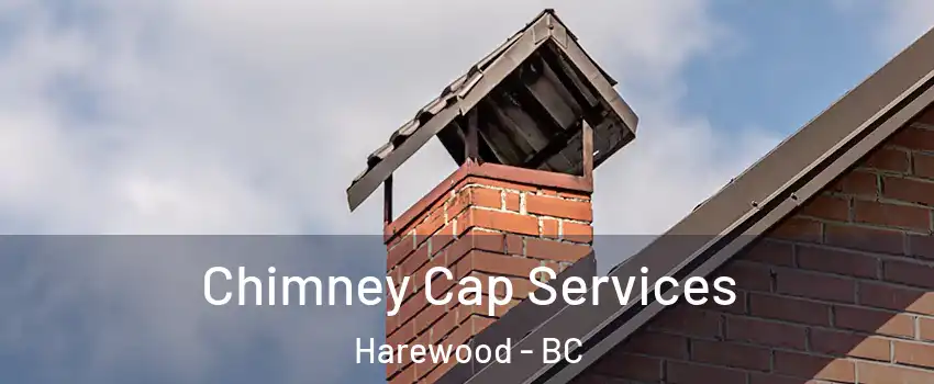  Chimney Cap Services Harewood - BC