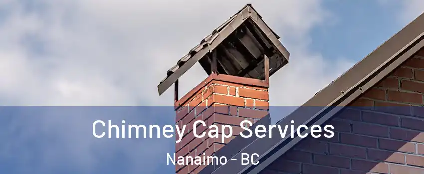  Chimney Cap Services Nanaimo - BC