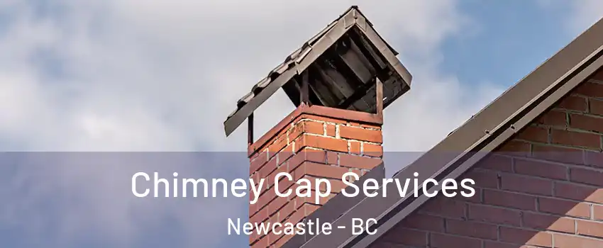  Chimney Cap Services Newcastle - BC