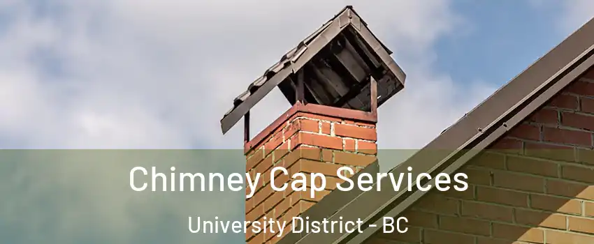  Chimney Cap Services University District - BC