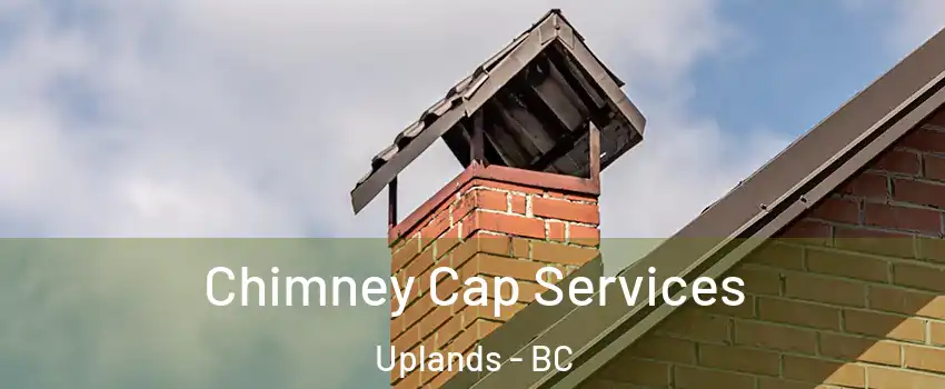  Chimney Cap Services Uplands - BC
